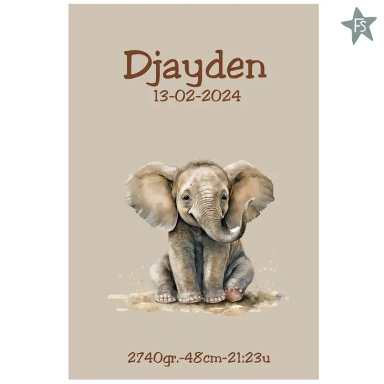 Hot Geboortebord met naam, geboortegegevens en olifantje | jungle dieren Geboorteschilderij | Kraamcadeau Meisje