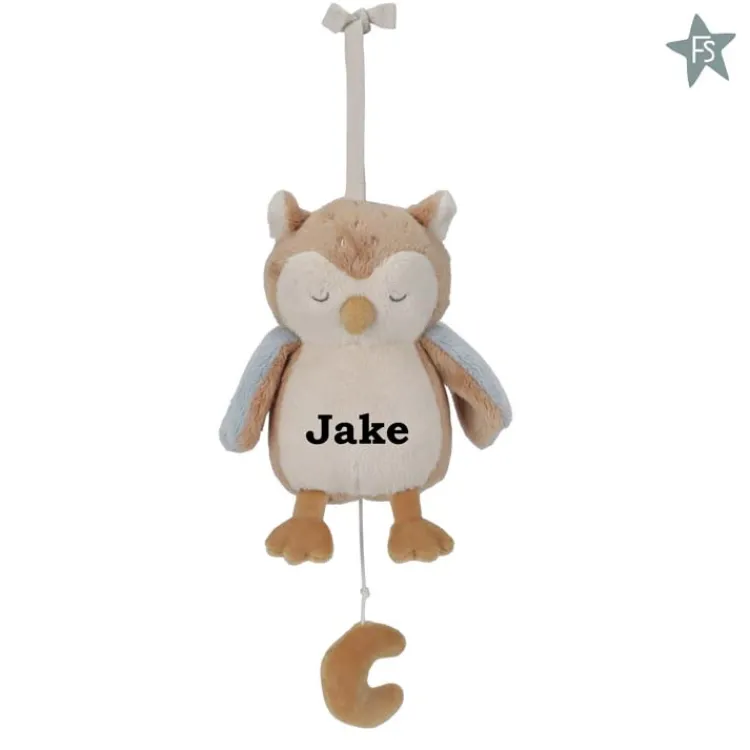 Fashion Muziekdoos Uil - Forest Friends ( met naam ) Little Dutch Forest Friends Fsc | Kraamcadeau Jongen